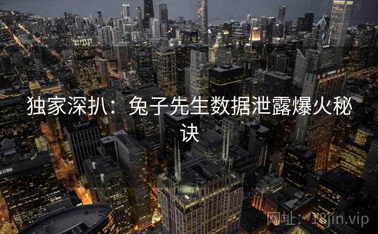 独家深扒：兔子先生数据泄露爆火秘诀