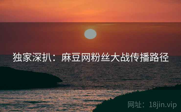 独家深扒：麻豆网粉丝大战传播路径