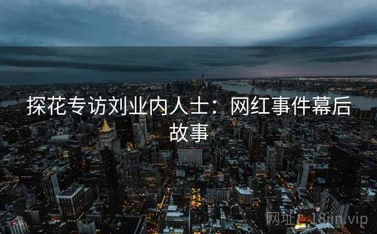 探花专访刘业内人士：网红事件幕后故事