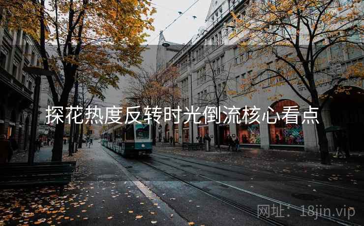 探花热度反转时光倒流核心看点