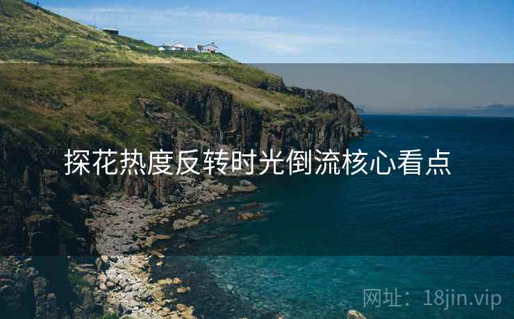 探花热度反转时光倒流核心看点