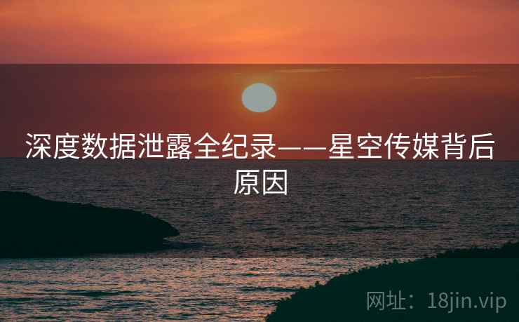 深度数据泄露全纪录——星空传媒背后原因