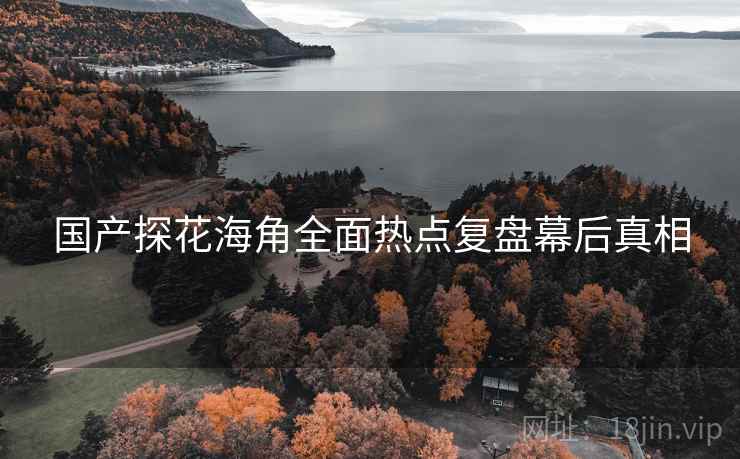国产探花海角全面热点复盘幕后真相