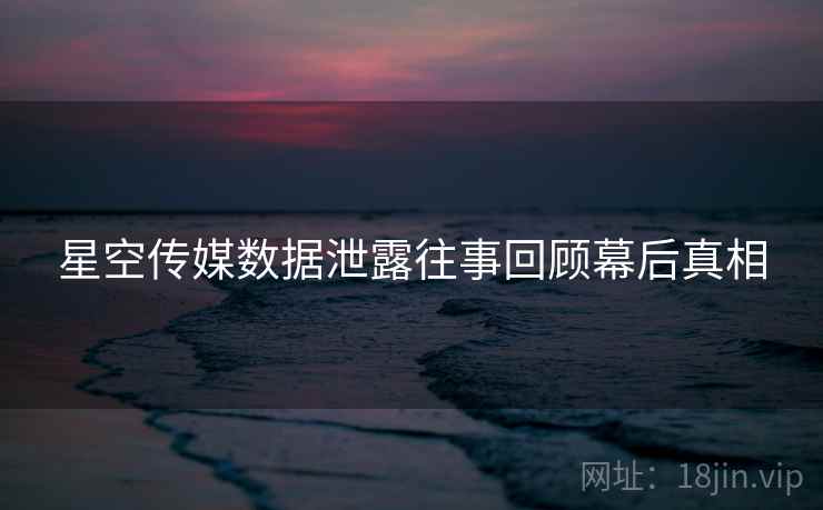 星空传媒数据泄露往事回顾幕后真相