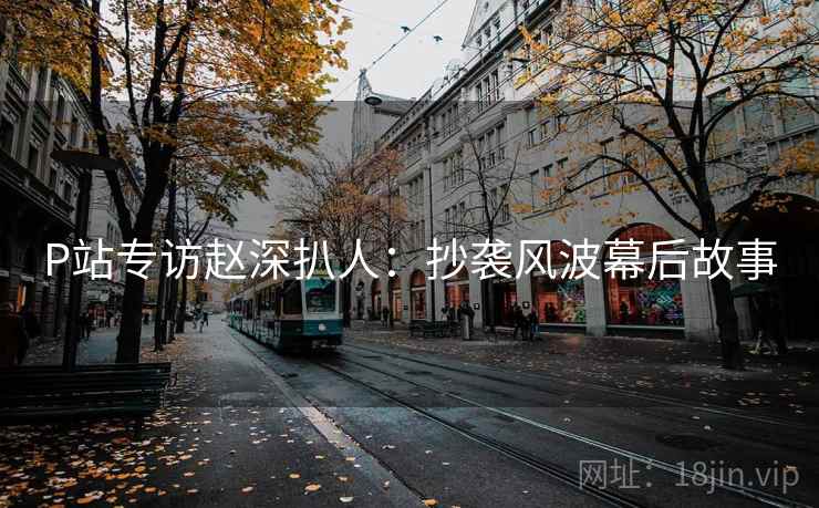 P站专访赵深扒人：抄袭风波幕后故事