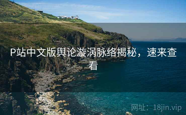 P站中文版舆论漩涡脉络揭秘，速来查看