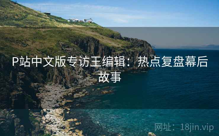 P站中文版专访王编辑：热点复盘幕后故事
