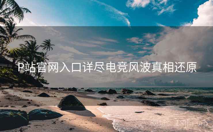 P站官网入口详尽电竞风波真相还原