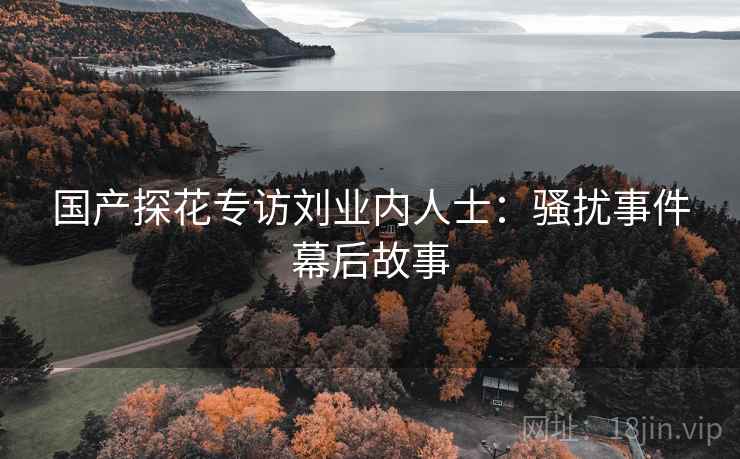 国产探花专访刘业内人士：骚扰事件幕后故事