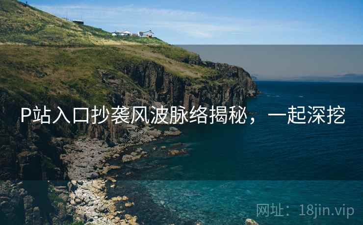 P站入口抄袭风波脉络揭秘，一起深挖