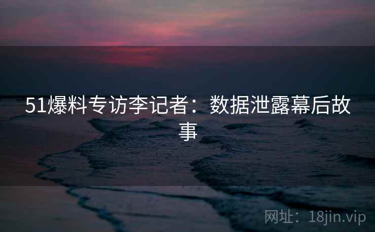 51爆料专访李记者：数据泄露幕后故事