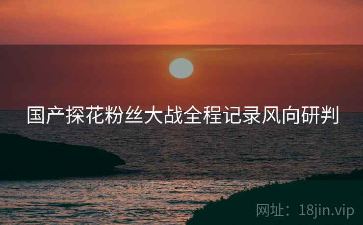 国产探花粉丝大战全程记录风向研判