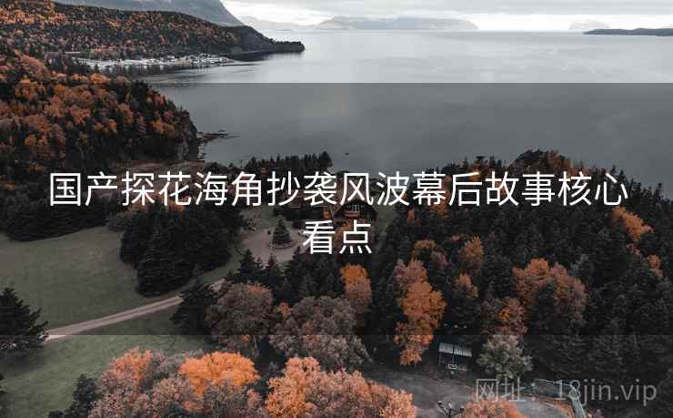 国产探花海角抄袭风波幕后故事核心看点