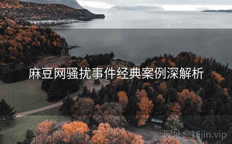 麻豆网骚扰事件经典案例深解析
